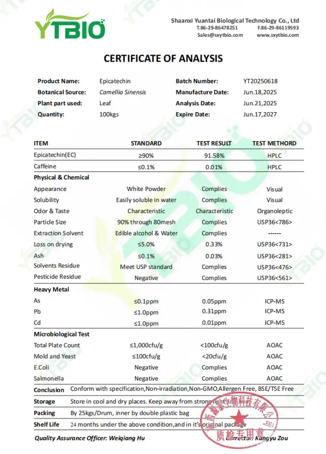 Bulk Green Tea Extract Powder.png
