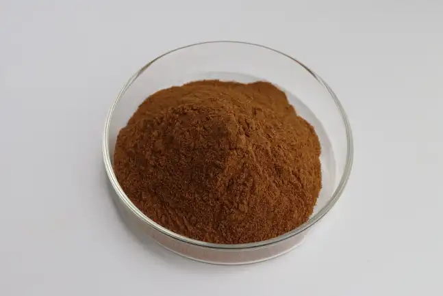 Bulk Reishi-soppekstraktpulver