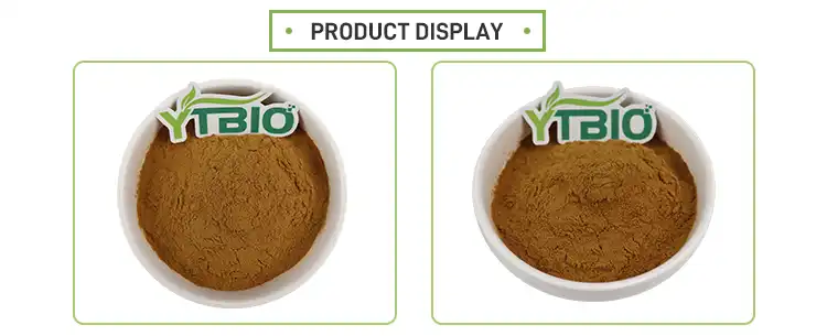 Rosmarinic Acid Powder