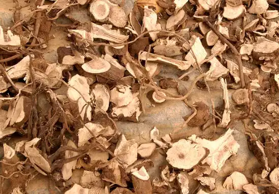 Kava Extract Powder.png