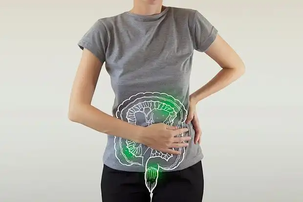 Pure Chitosan Powder