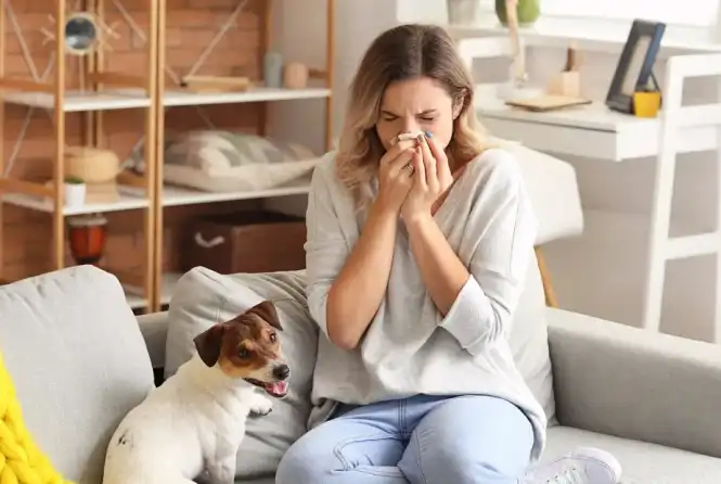 Bromelain Powder Bulk