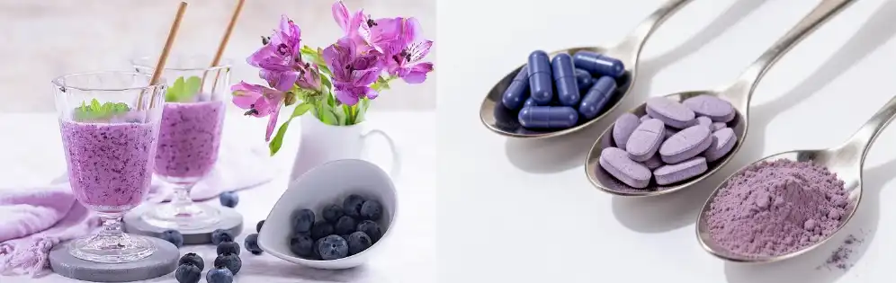 Bilberry Extract Powder