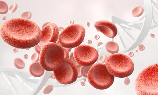 Organic Beet Root Powder Bulk