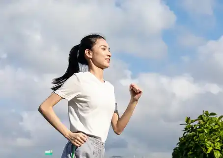 Best L Theanine Powder