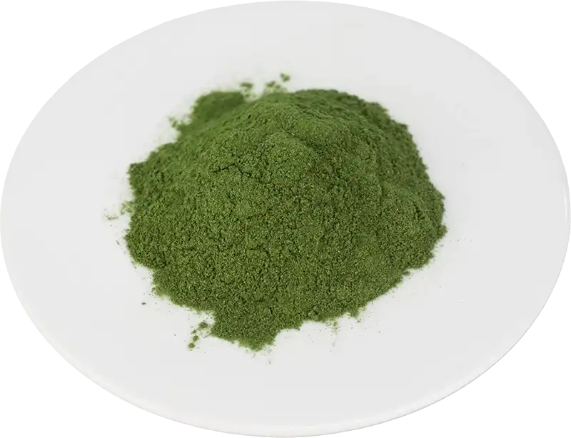 Bulk Kale Powder