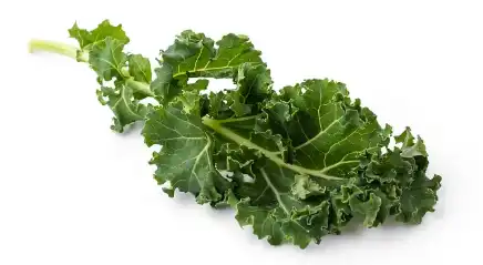 Bulk Kale Powder