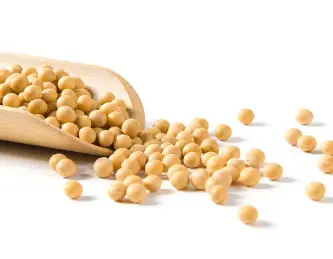 Avocado Soybean Unsaponifiables Powder