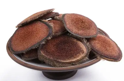 Deer Antler Extract Powder