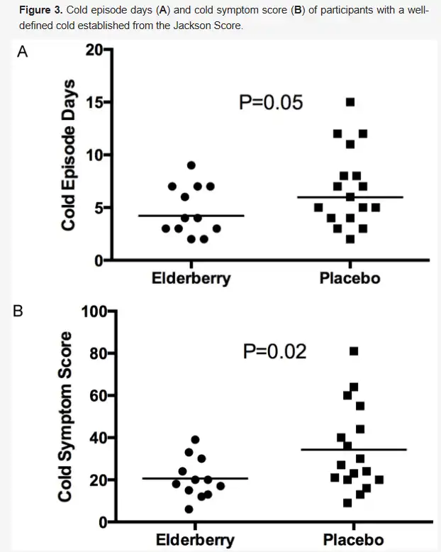 Elderberry Fruit Powder