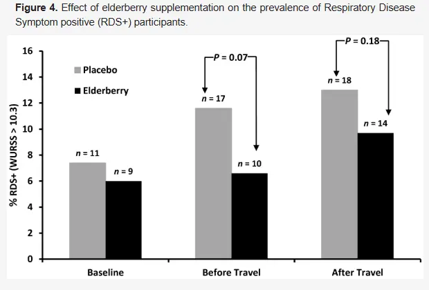 Elderberry Fruit Powder