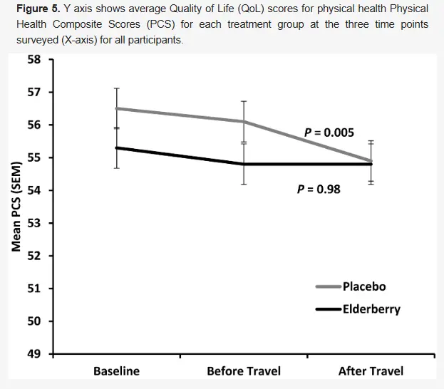 Elderberry Fruit Powder