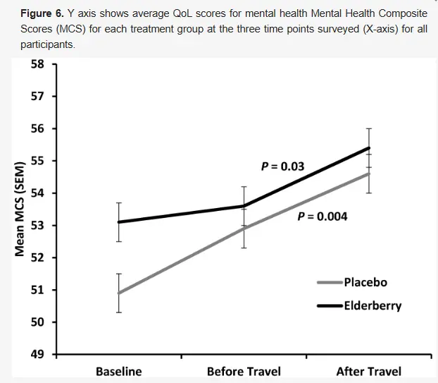 Elderberry Fruit Powder