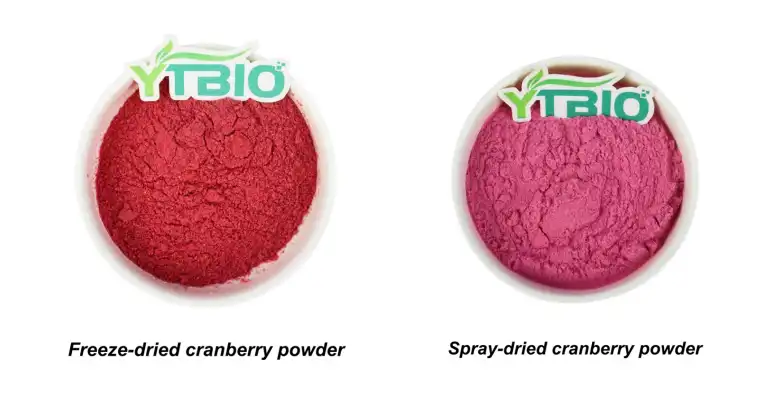 Best Cranberry Powder