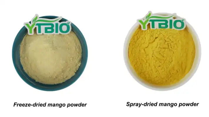 Bulk Mango Powder