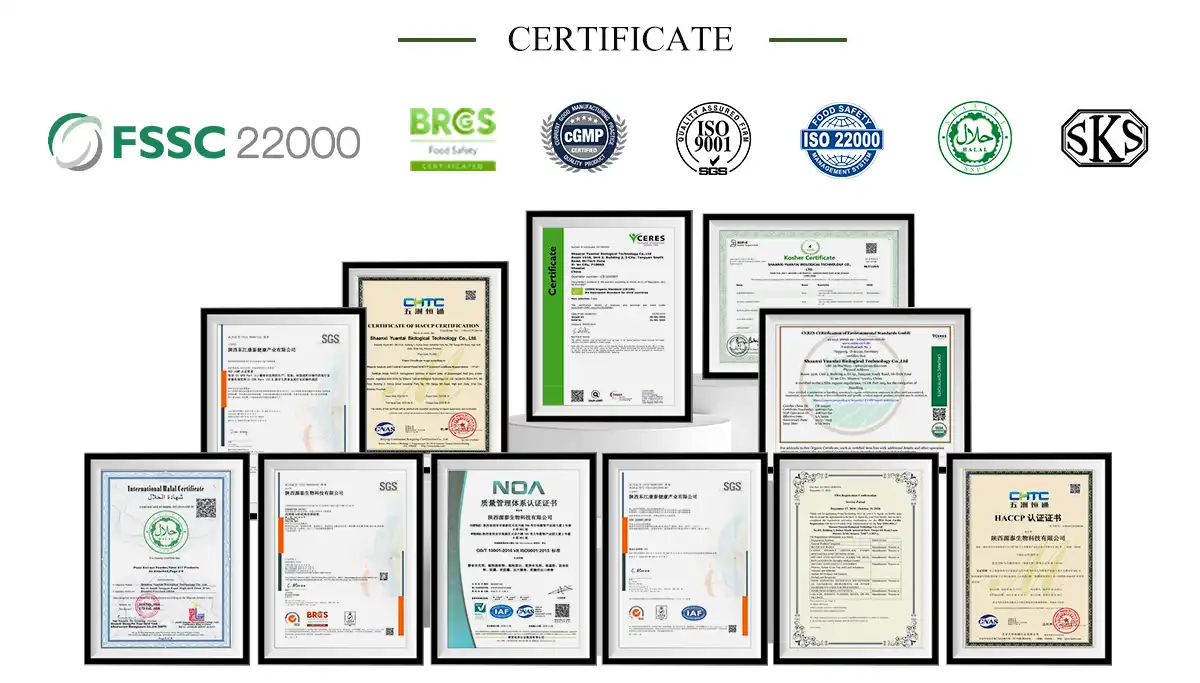 जैविक ऋषि अर्क पाउडर