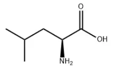 Bulk L-leucine Powder Bulk L-leucine Powder