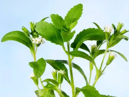 Pure Stevia Extract Powder