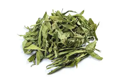 Stevia Leaf Extract Powder