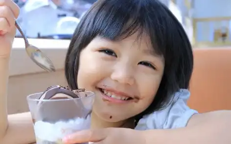 Stevia Leaf Extract Powder