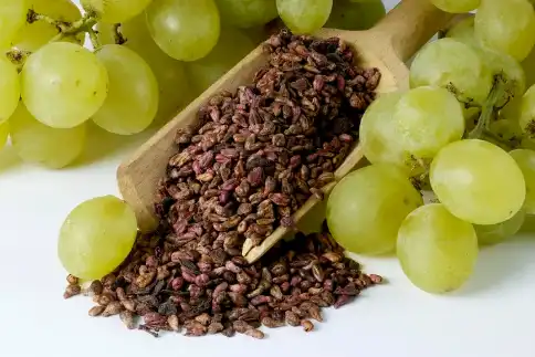 Grape Seed Extract Bulk