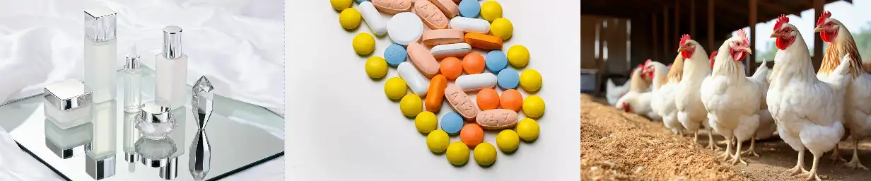 Bulk Grape Extract Powder