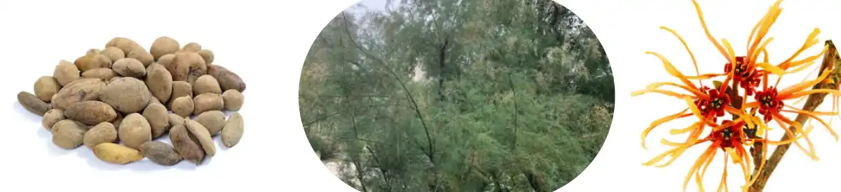 टैनिक एसिड पाउडर थोक