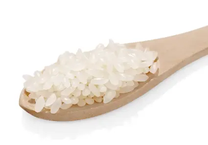 Proteína pura de arroz en po