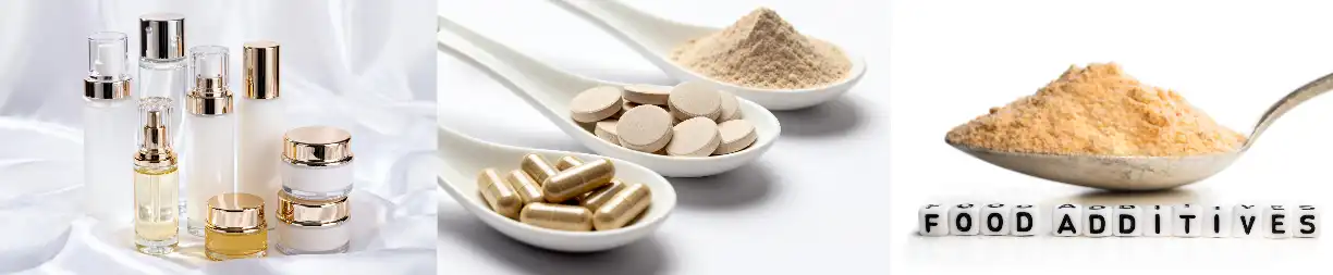 Tamarind Extract Powder