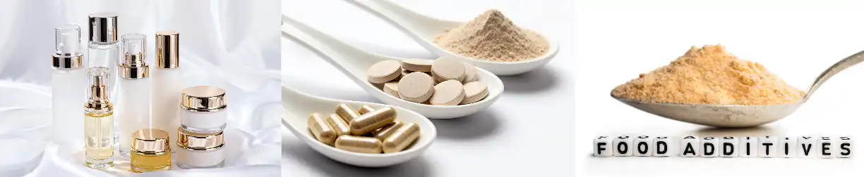 Pure Pine Bark Extract