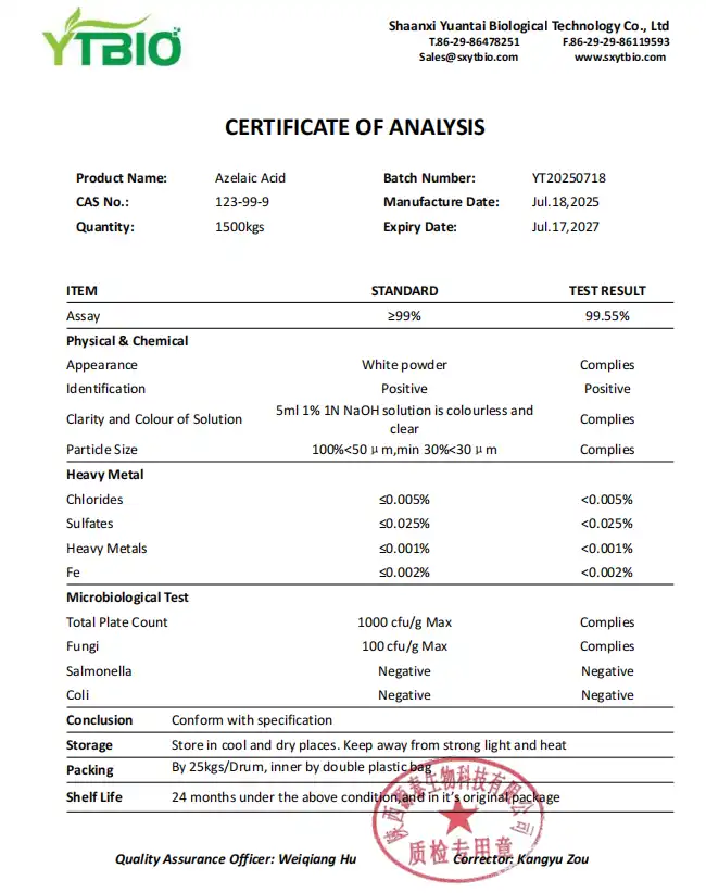 Test Report Test Report