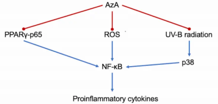 Anti-inflammatory Anti-inflammatory