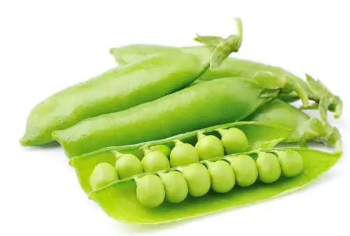 Pea Fiber source Pea Fiber source