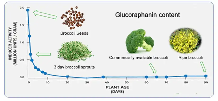 Glucoraphanin Glucoraphanin