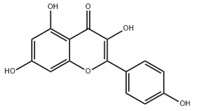 Kaempferol Powder Kaempferol Powder