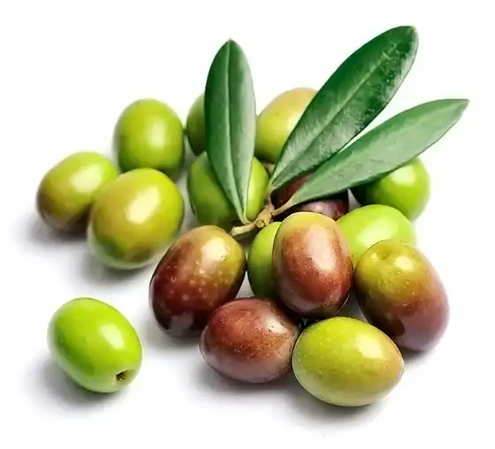 Olive Leaf&Fruit Extract Olive Leaf&Fruit Extract