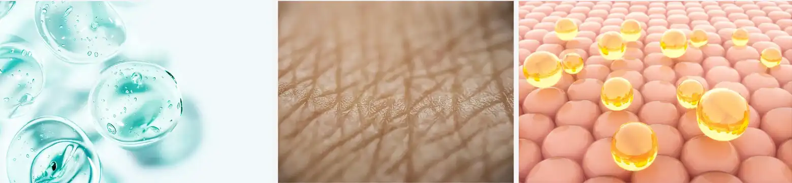 Honeysuckle extract Honeysuckle extract