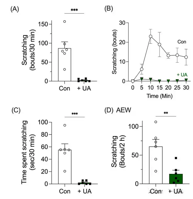 Ursolic acid Ursolic acid