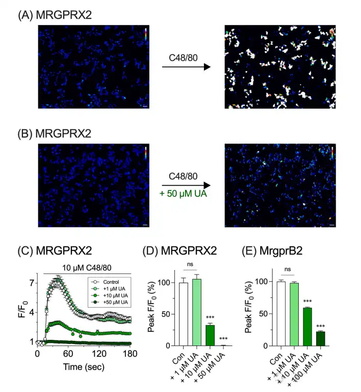 Ursolic acid Ursolic acid
