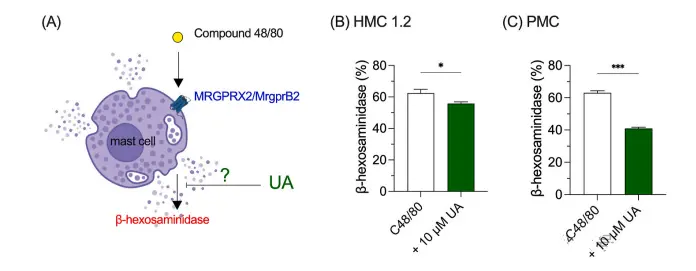 Ursolic acid Ursolic acid