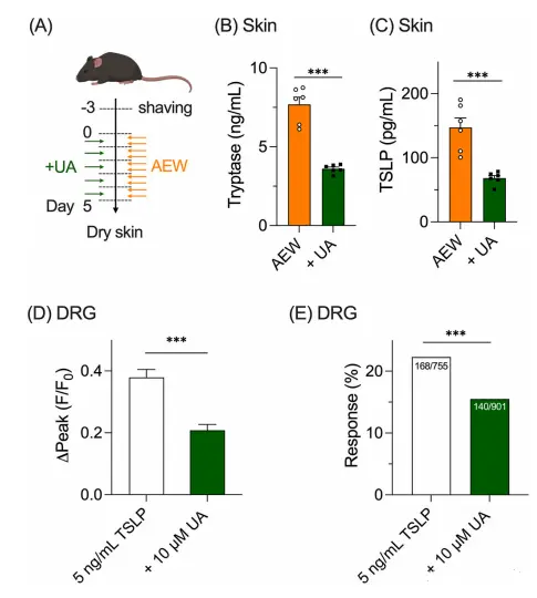 Ursolic acid Ursolic acid