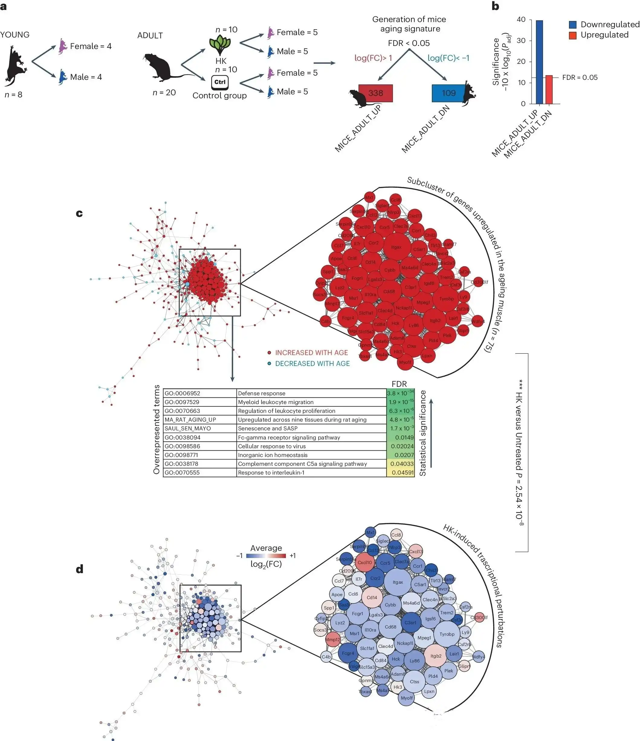 Sage extract powder Sage extract powder