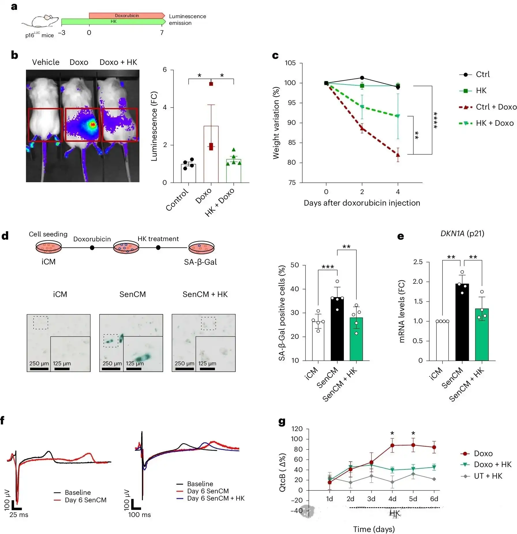 Sage extract powder Sage extract powder