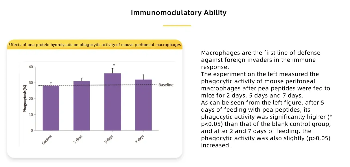Pea protein Pea protein