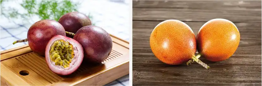 Passion fruit extract Passion fruit extract