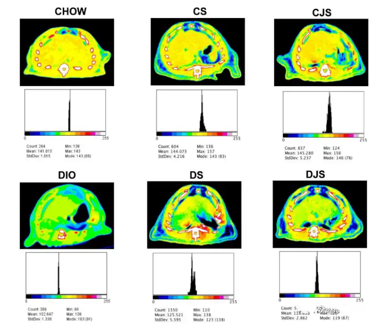Tart Cherry Powder Bulk Tart Cherry Powder Bulk