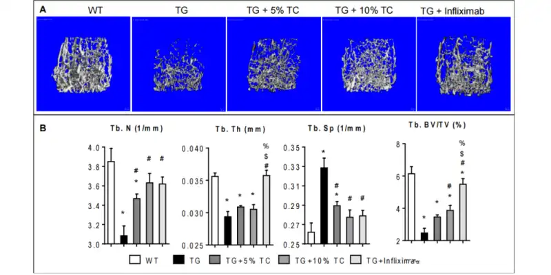 Tart Cherry Powder Bulk Tart Cherry Powder Bulk