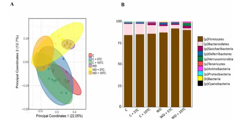 Tart Cherry Powder Bulk Tart Cherry Powder Bulk