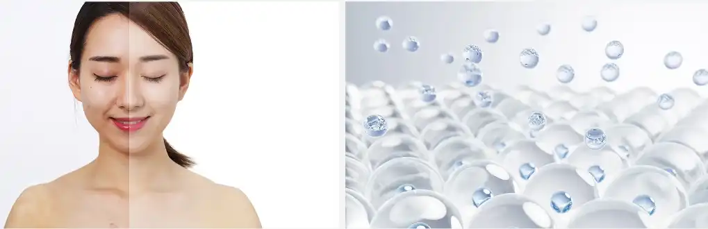 White peony root extract White peony root extract