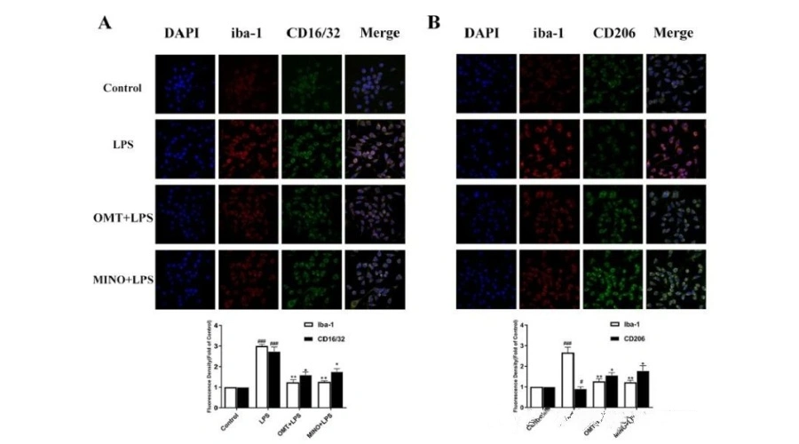 Oxymatrine Powder Oxymatrine Powder
